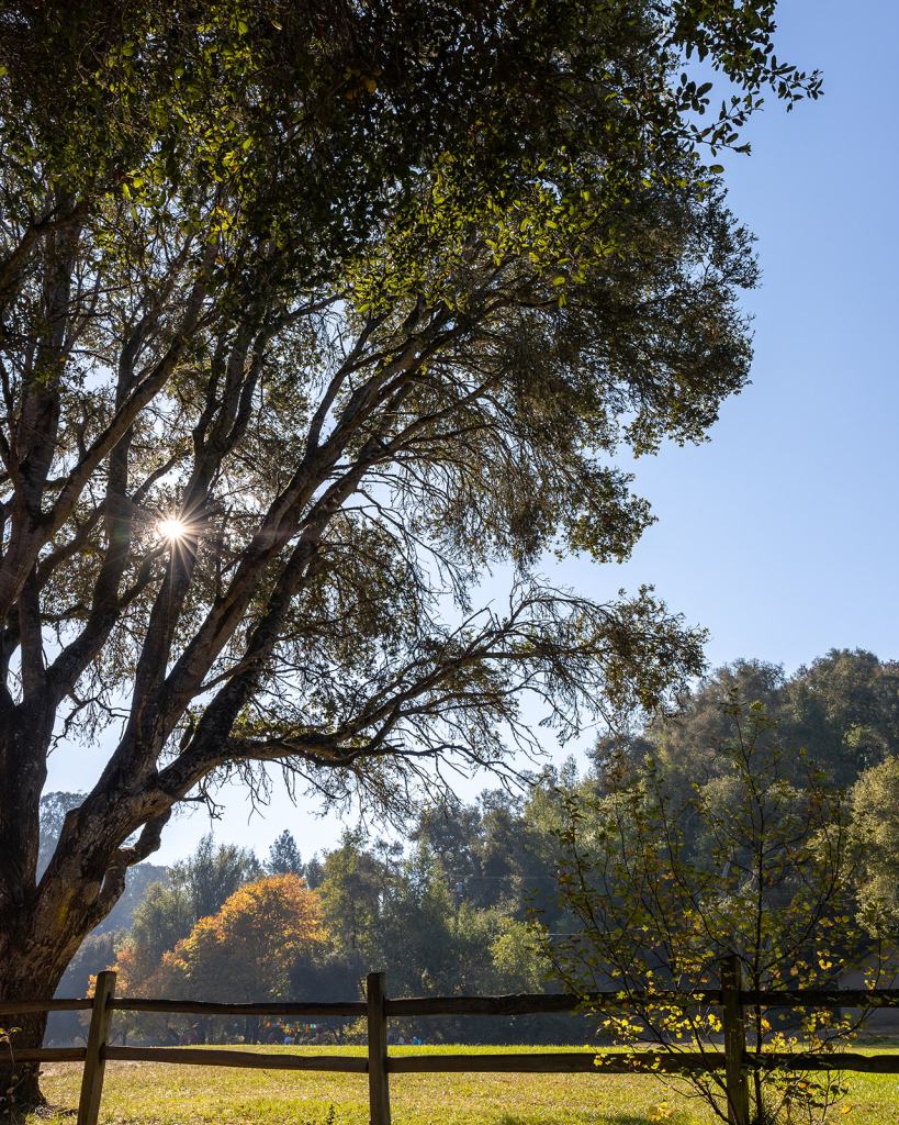 Tilden Regional Park in Berkeley, California