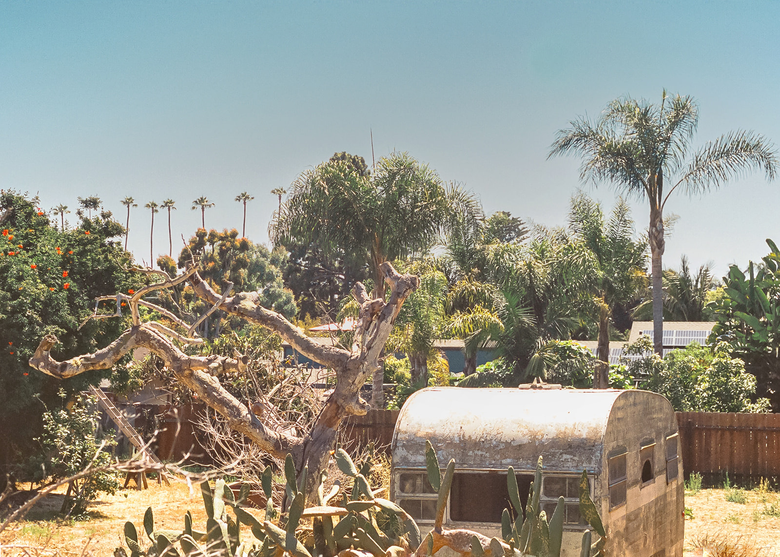 San Diego Zoo on 35 mm film photography