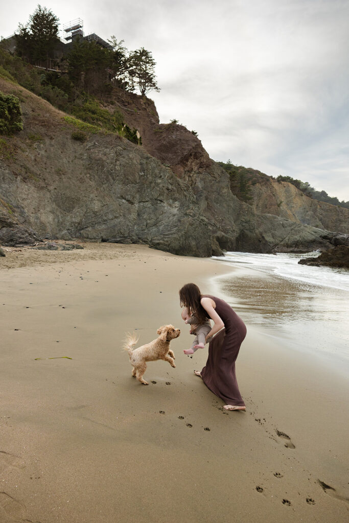Mother and baby playing with dog on beach