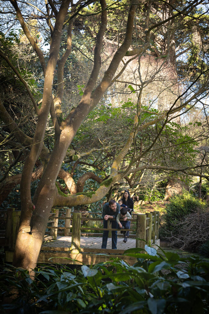 Family in the San Francisco Botanical Gardens during their family photo session