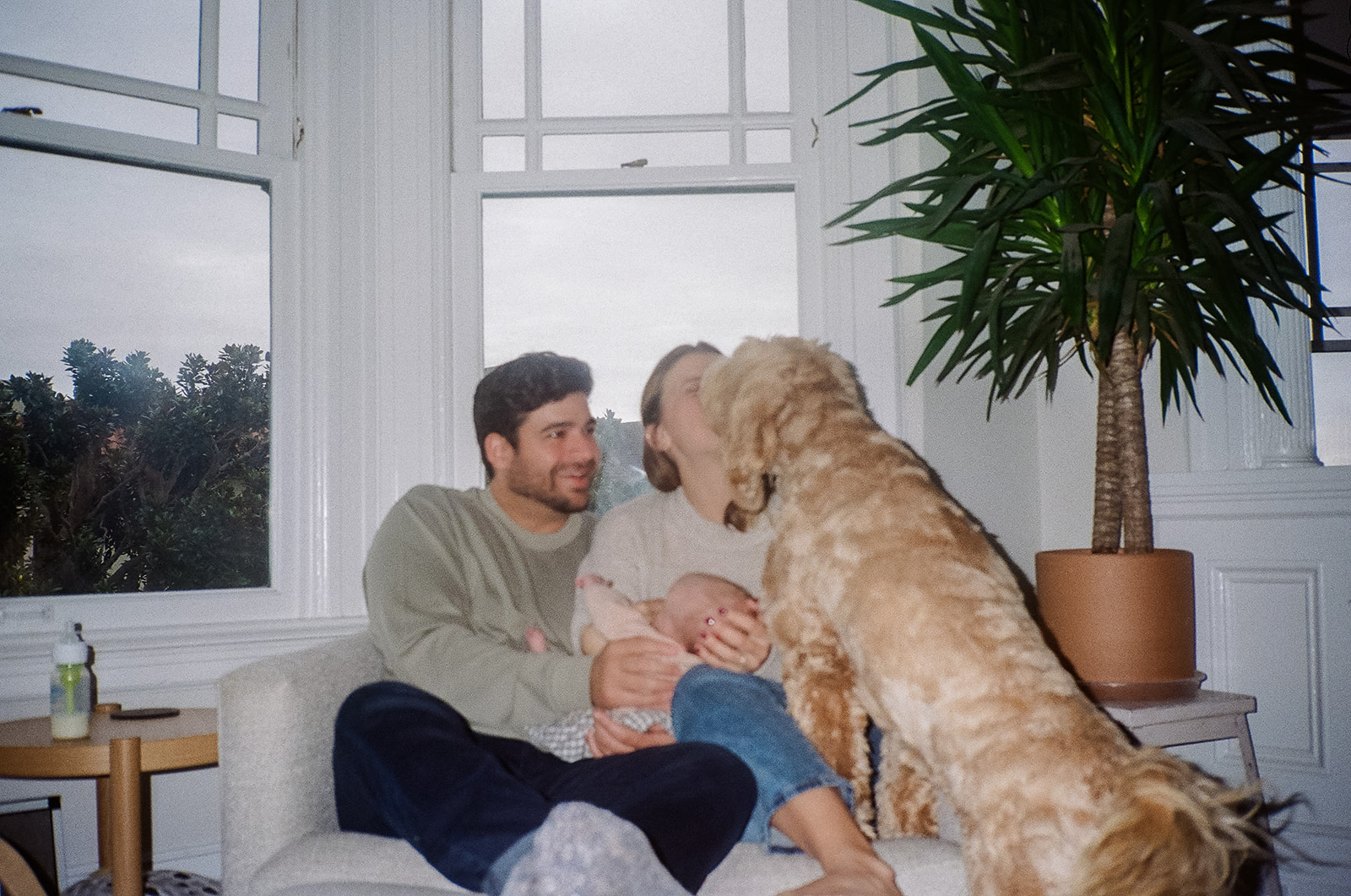 Family of three and their dog captured on 35mm film