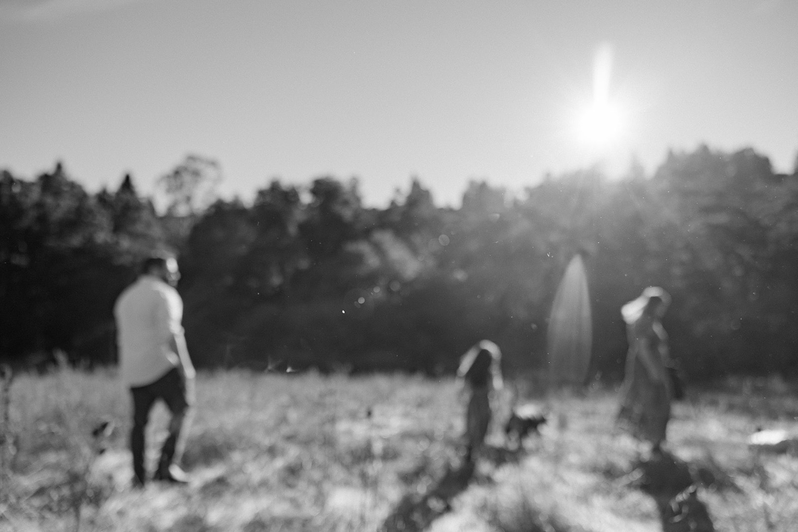 Black and white photo of a family of three at Tilden Regional Park in Berkeley, CA for their maternity & family pictures