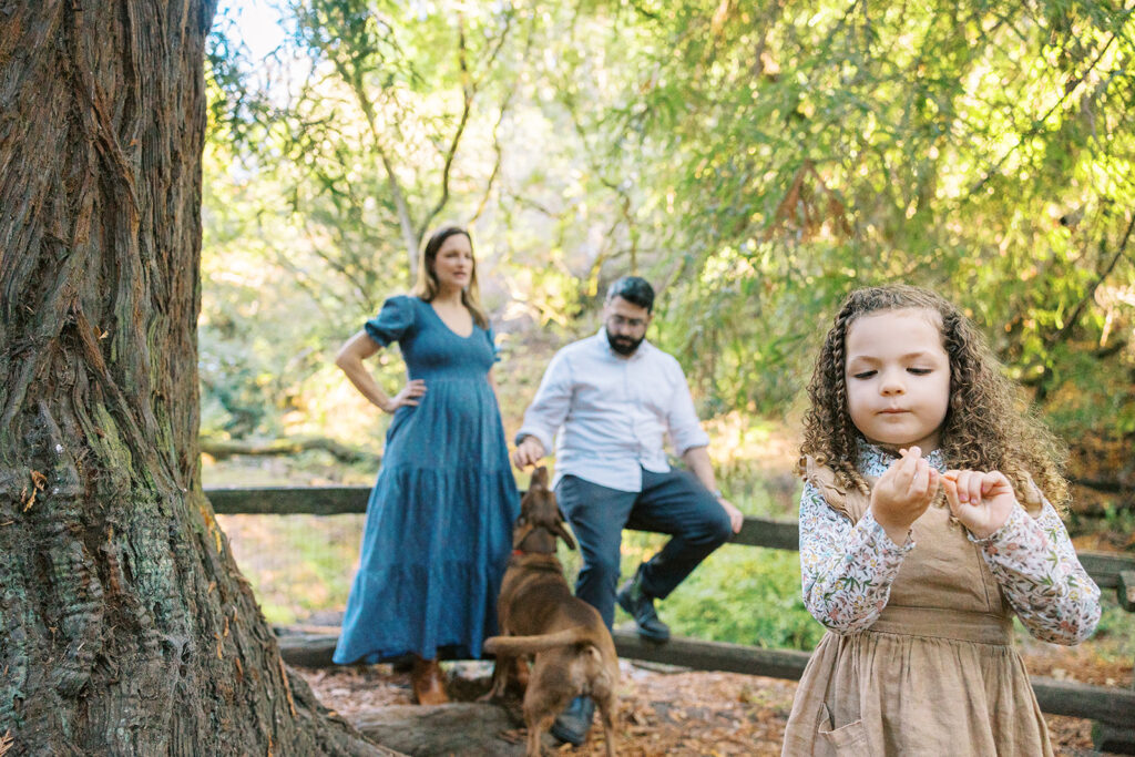 Little girl and her parents exploring Tilden Regional Park in Berkeley, CA for their maternity & family pictures