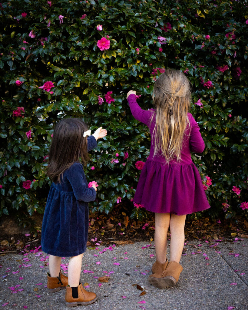 Little girls picking flowers off of a bush