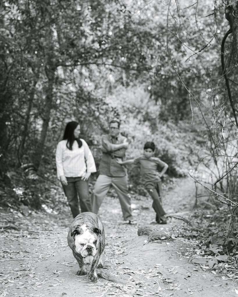 Black and white photo of a family of three and their dog walking the trails at Sibley Regional Park and making funny poses for their Oakland CA family photos