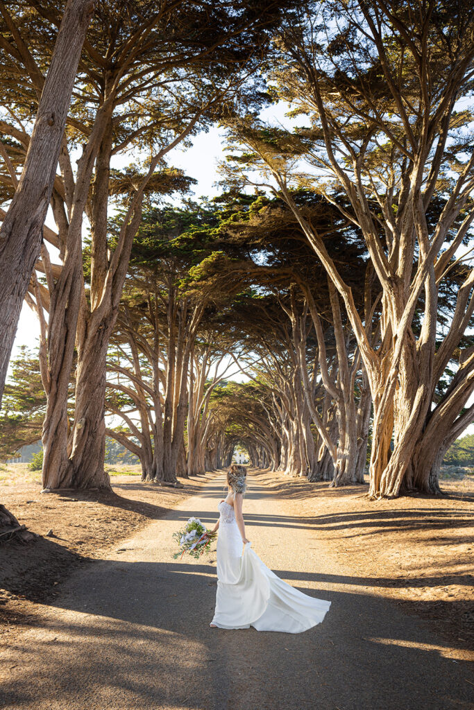 Bride standing in the Cypress Tree Tunnel in Point Reyes