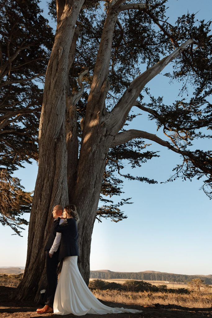 Couple taking in the sunset at Cypress Tree Tunnel in Point Reyes during their intimate elopement