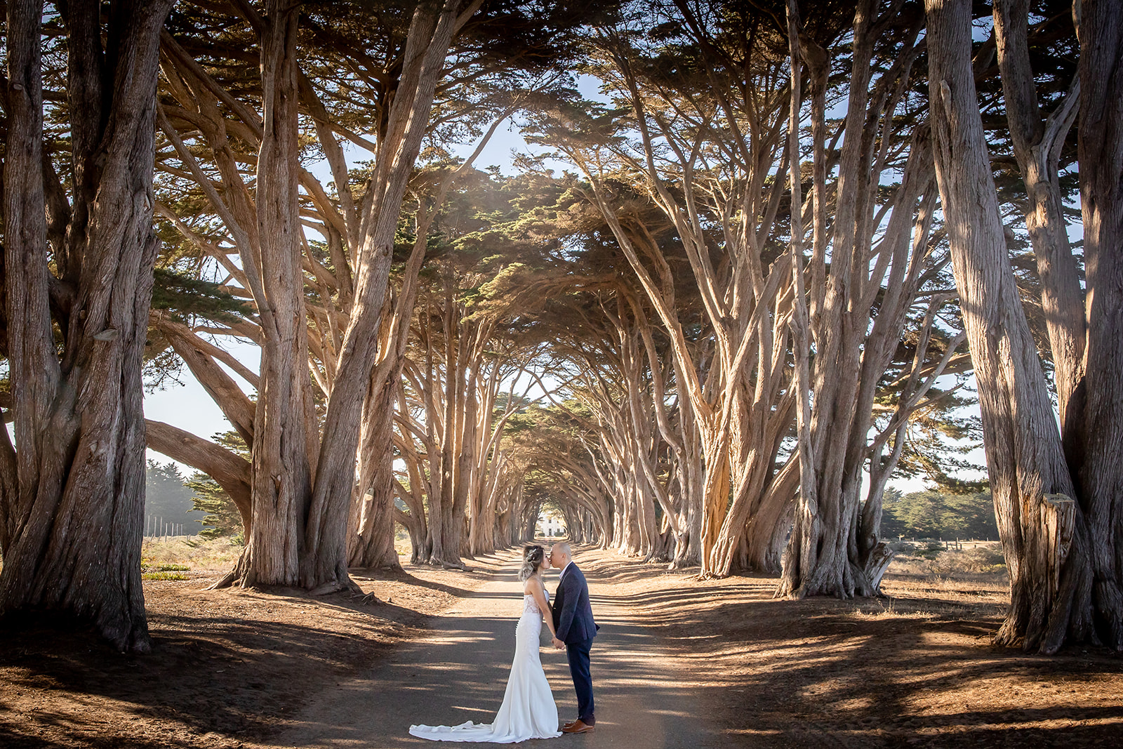 Couple kissing in the Cypress Tree Tunnel in Point Reyes