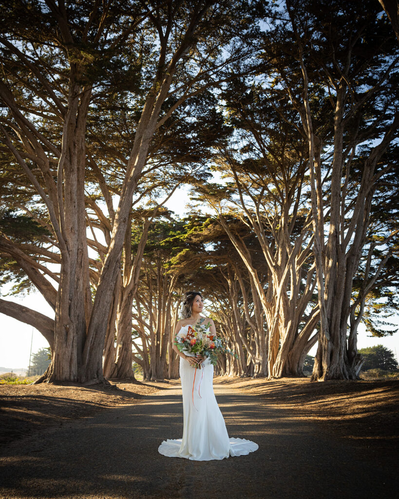 Bride admiring the cypress trees in Point Reyes