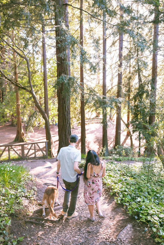 Couples and their dog walking together at a park in Berkeley