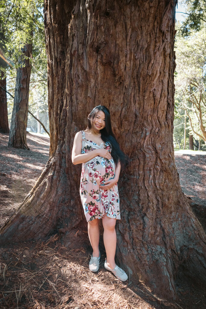 Pregnant woman posing for photos with redwood trees