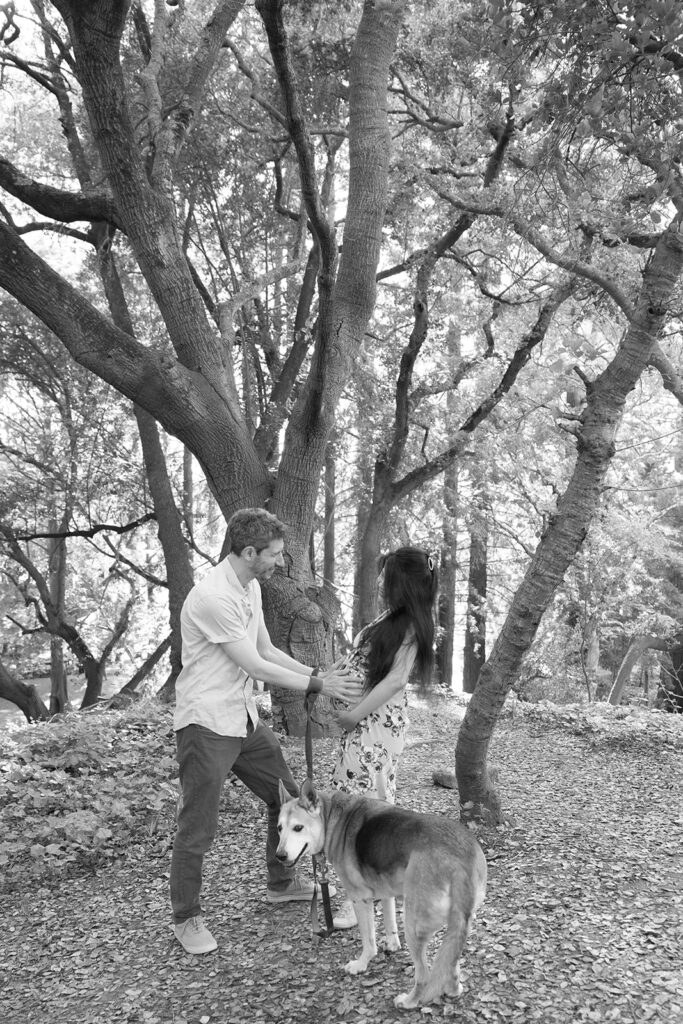 Black and white photo of a couple and their dog during their East Bay maternity photography session