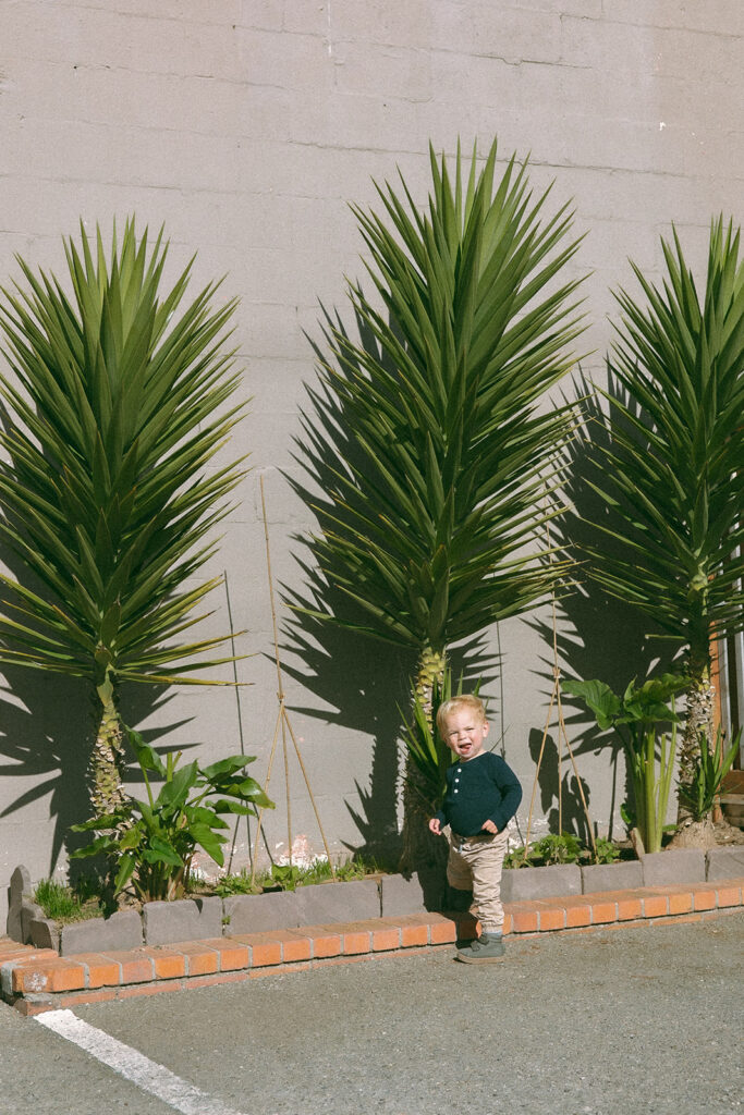 Little boy checking out plants