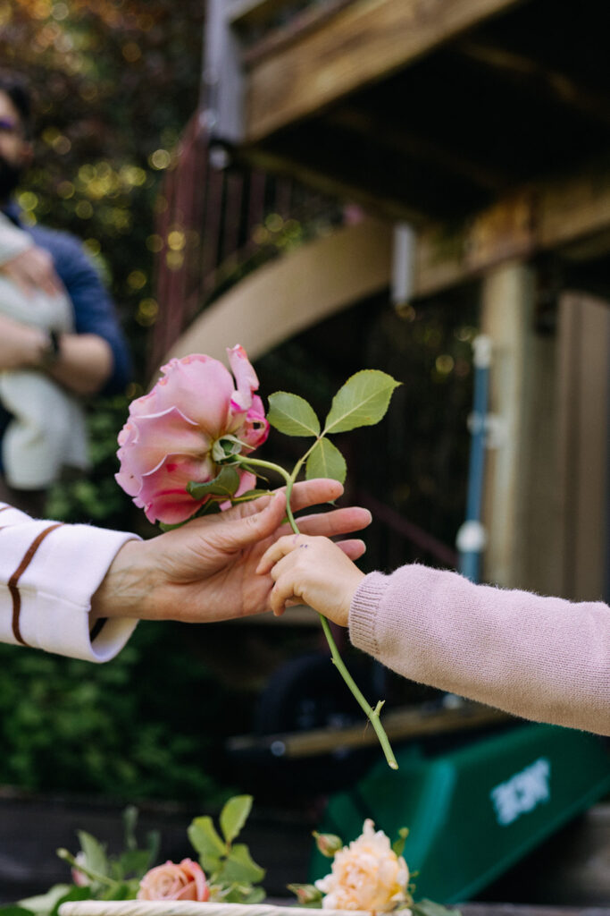 Mother handing her daughter a pink flower from, their garden