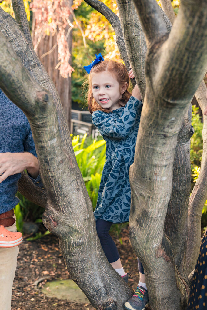 Little girl hanging on a tree branch