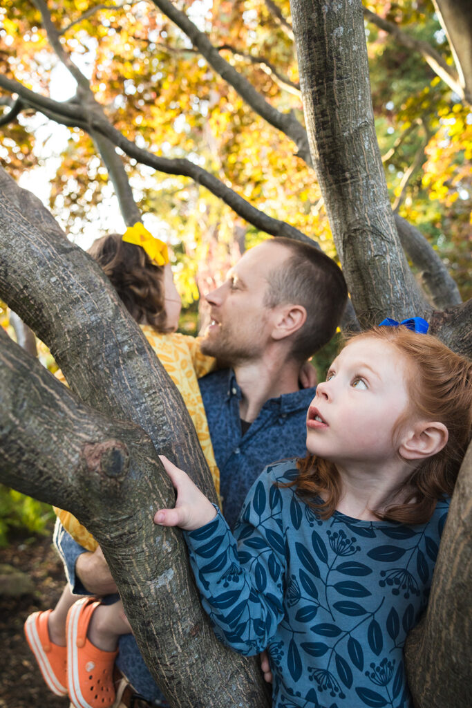 Little girls and their father playing in a tree at the park