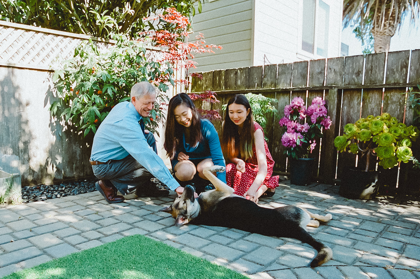 Family of three with their German Shepard dog posing for their at-home photos in San Francisco