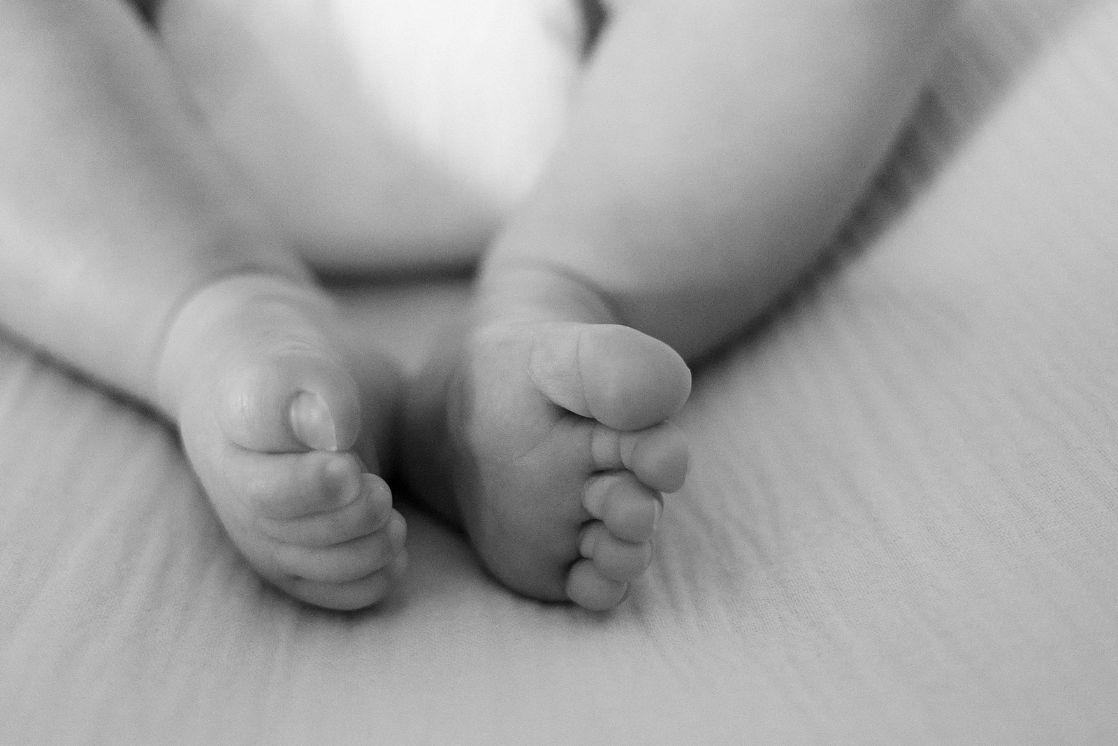 Black and white close up portrait of a babies feet. 