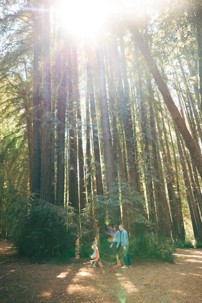 Family walking together beneath tall redwood trees at Old Mill Park in Marin County.