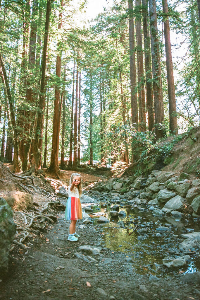 Little girl exploring the creek at Old Mill Park. 