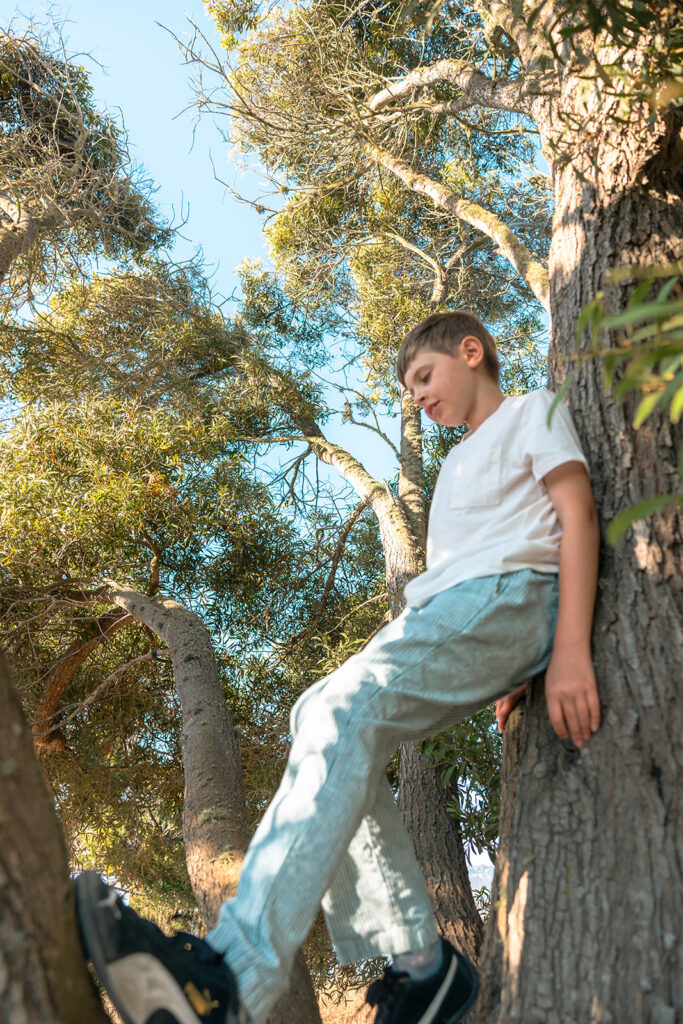 Young boy climbing a tree. 