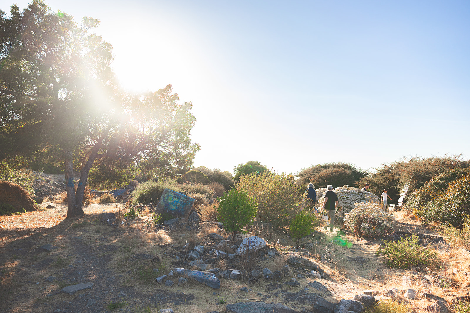 Family exploring around Albany Bulb and admiring art installations. 