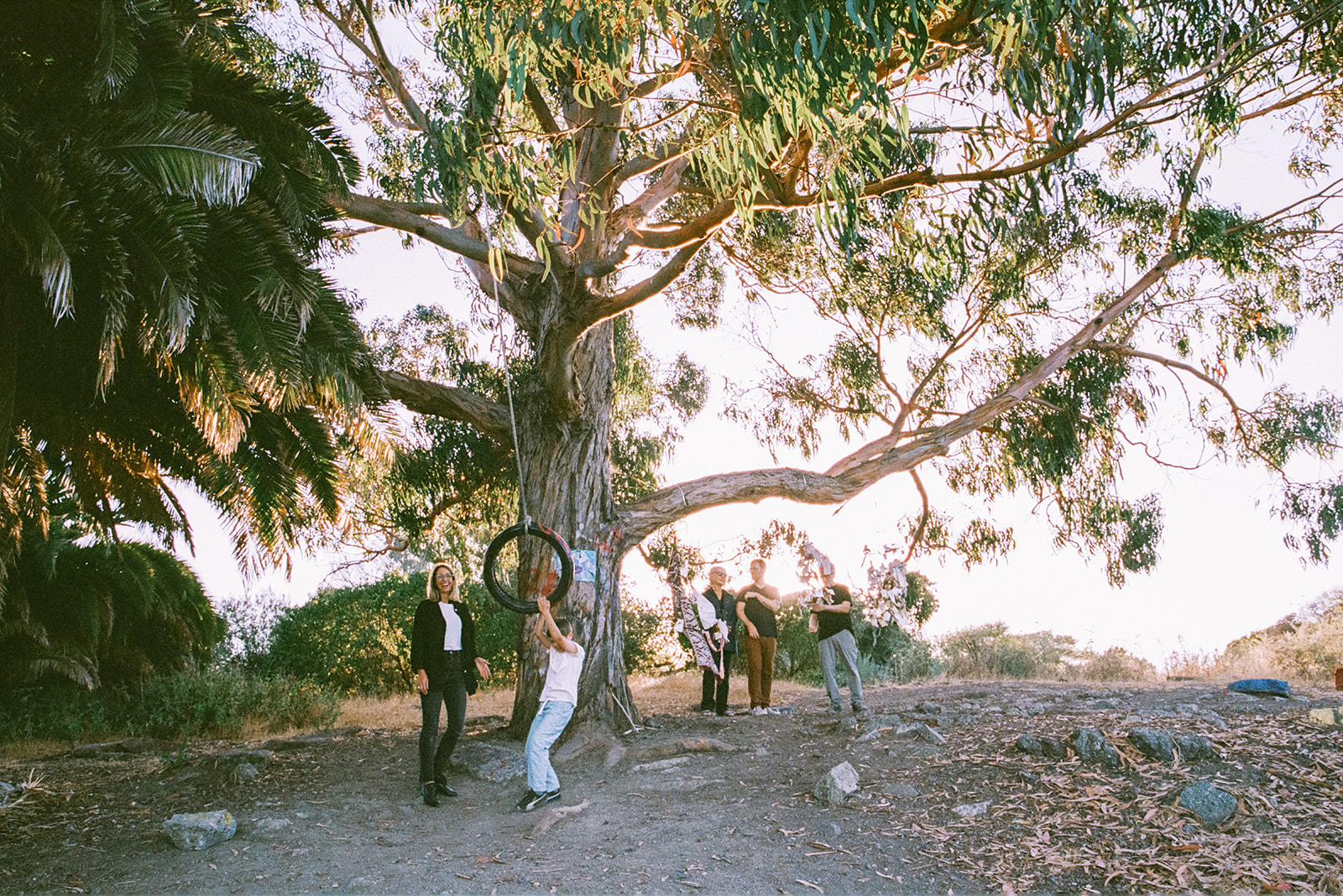 Family gathered near tree swing during three generation family photos in Albany, California.