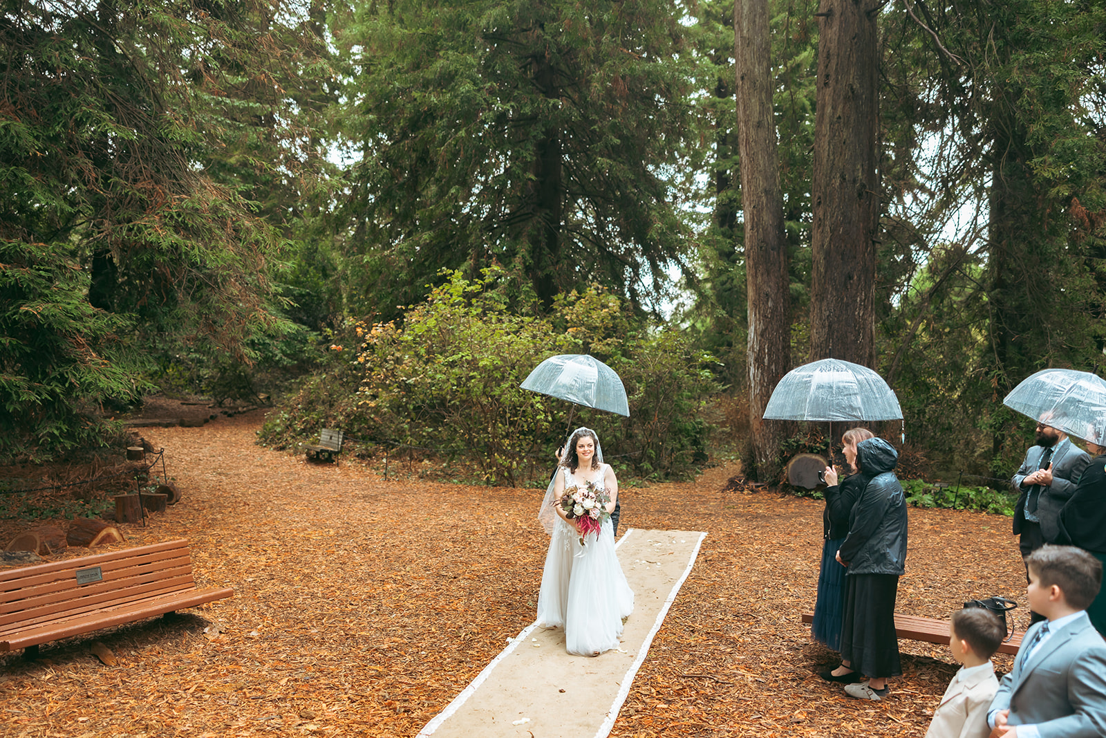 Bride walking down the aisle for her San Francisco Botanical Garden wedding ceremony in Redwood Grove.