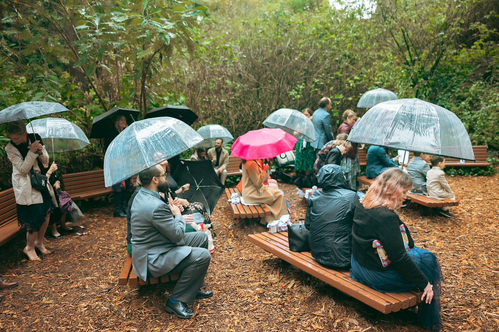 Family and friends sitting on benches and waiting for a San Francisco Botanical Garden wedding ceremony in Redwood Grove.