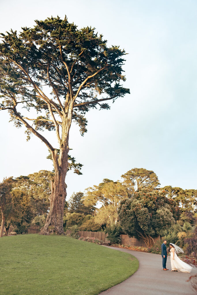 Far away photo of a bride and groom standing together at San Francisco Botanical Garden.