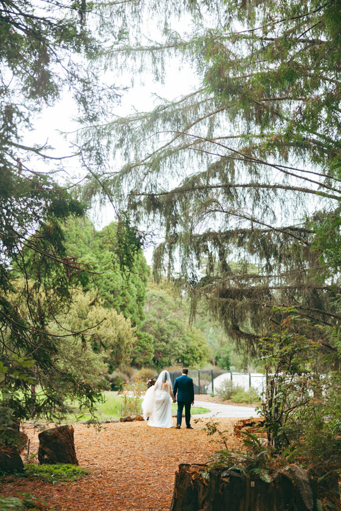 Bride and groom taking photos during their San Francisco Botanical Garden wedding.