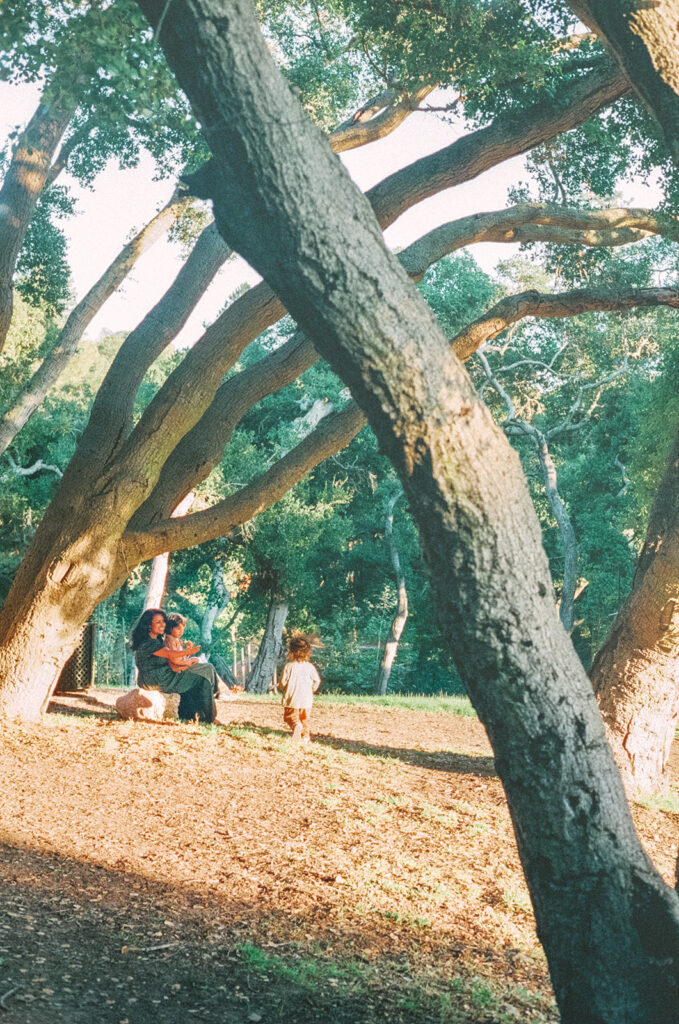 35mm film photo of a mother and children photographed from a distance beneath oak trees at John Hinkel Park.