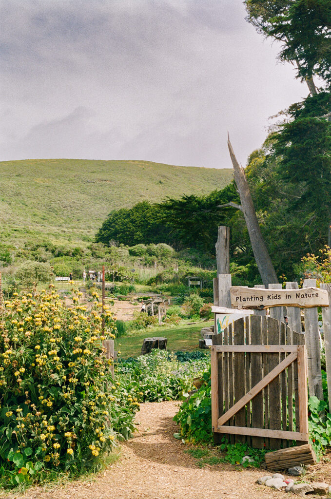 Garden area at Slide Ranch on film.