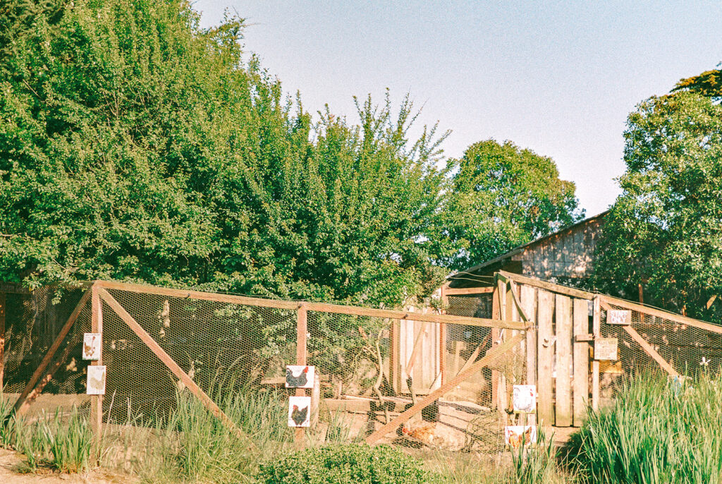 Chicken coop at Slide Ranch in CA.