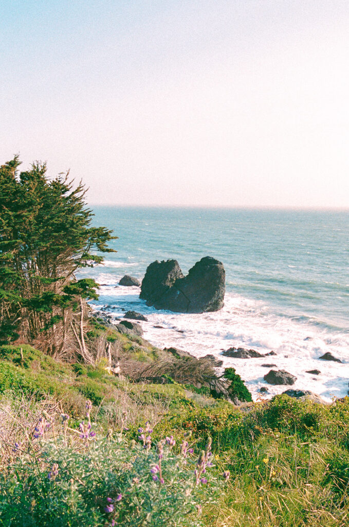 Cliffside ocean views from Slide Ranch in Muir Beach, CA.