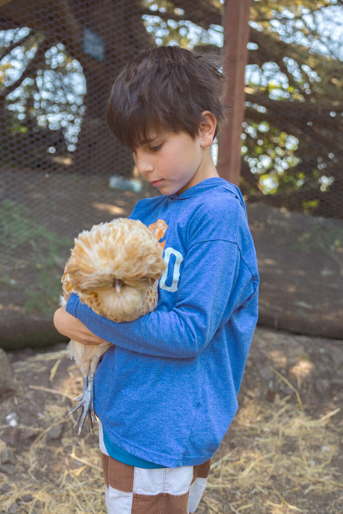 Boy holding an animal at Slide Ranch.