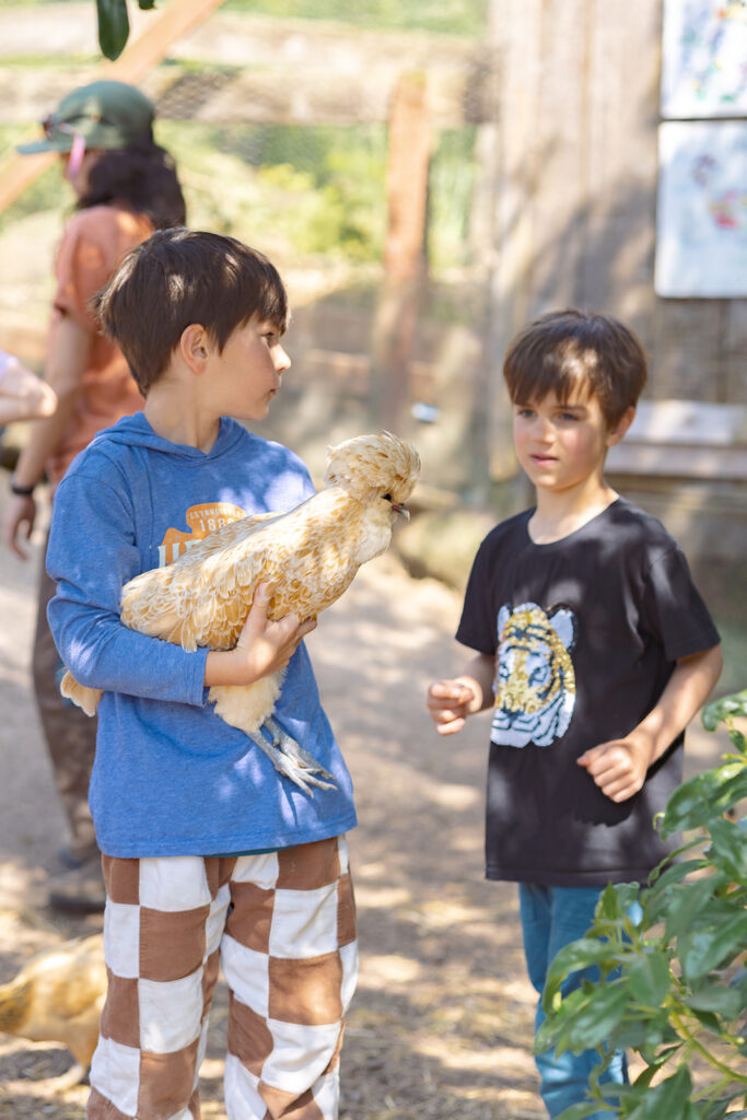 Two boys holding animals at Slide Ranch.