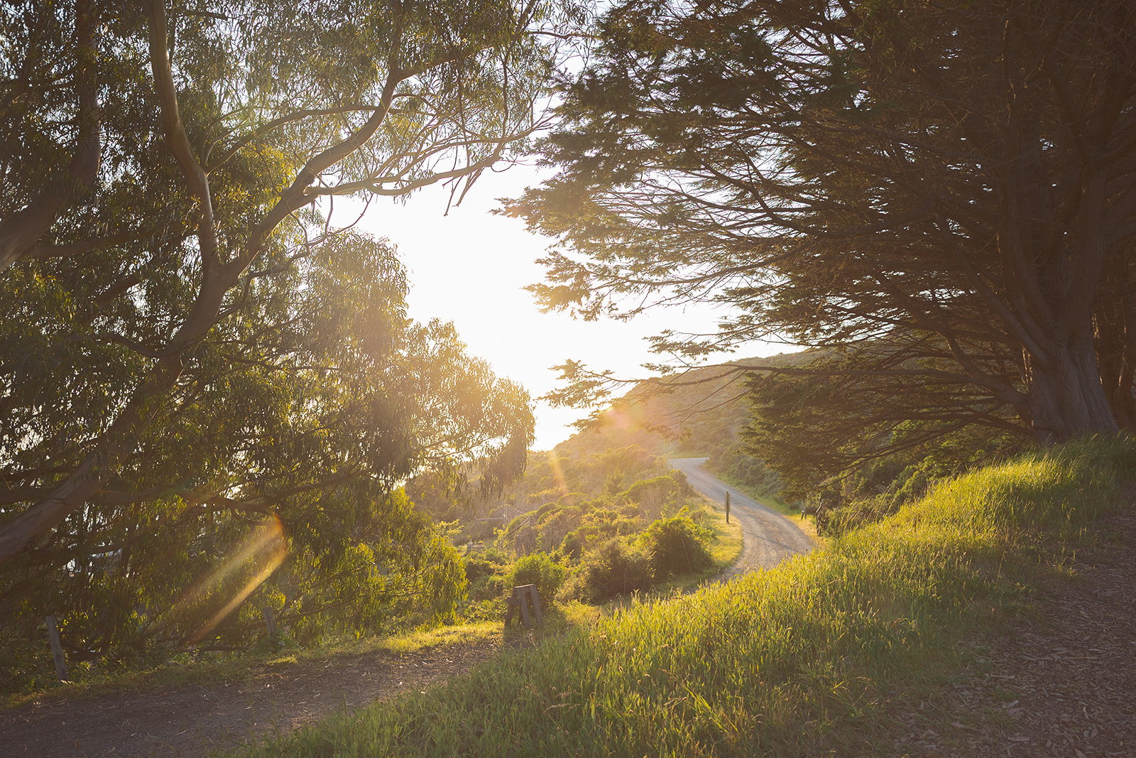 Golden hour views at Slide Ranch in Muir Beach. CA.