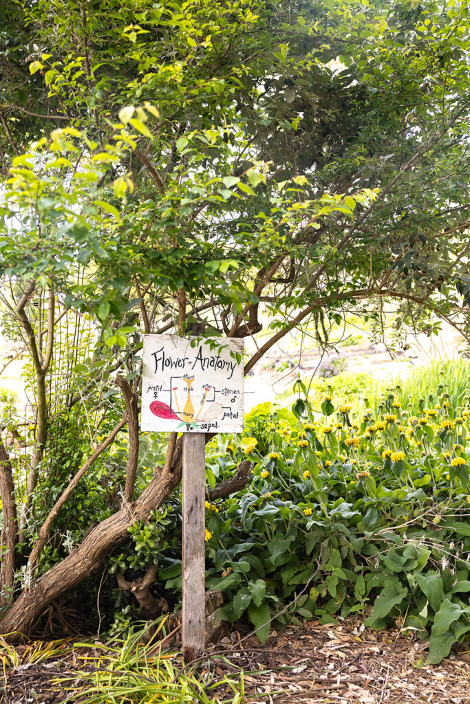 Flower anatomy sign at Slide Ranch in Muir Beach, CA.