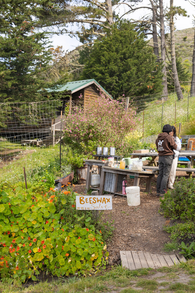 Beeswax station at Slide Ranch in Muir Beach, CA.