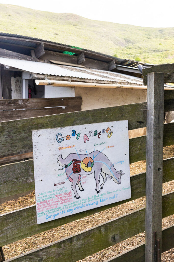 Goat anatomy sign at Slide Ranch in Muir Beach, CA.