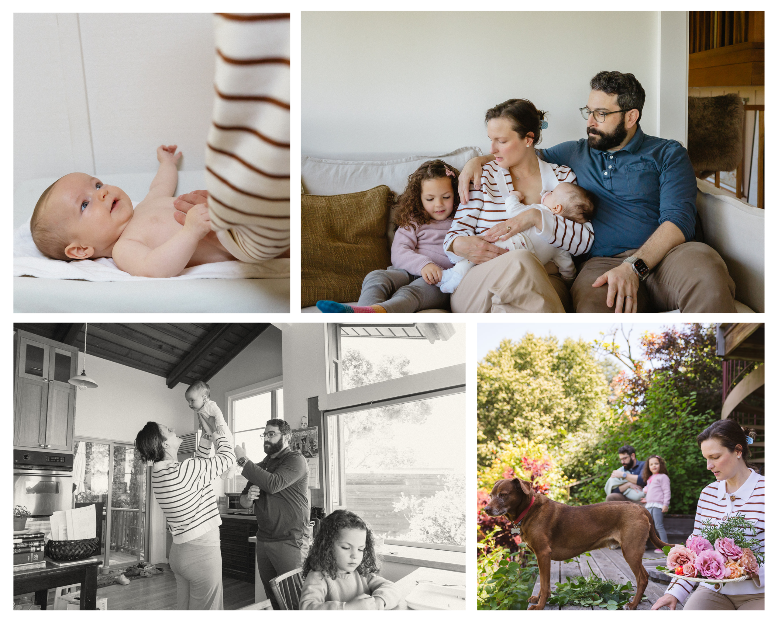 Collage from an at-home Berkeley newborn session showing a baby during a diaper change, a family of four cuddling on the couch, playful moments at home, and the family with their dog outside in the garden.