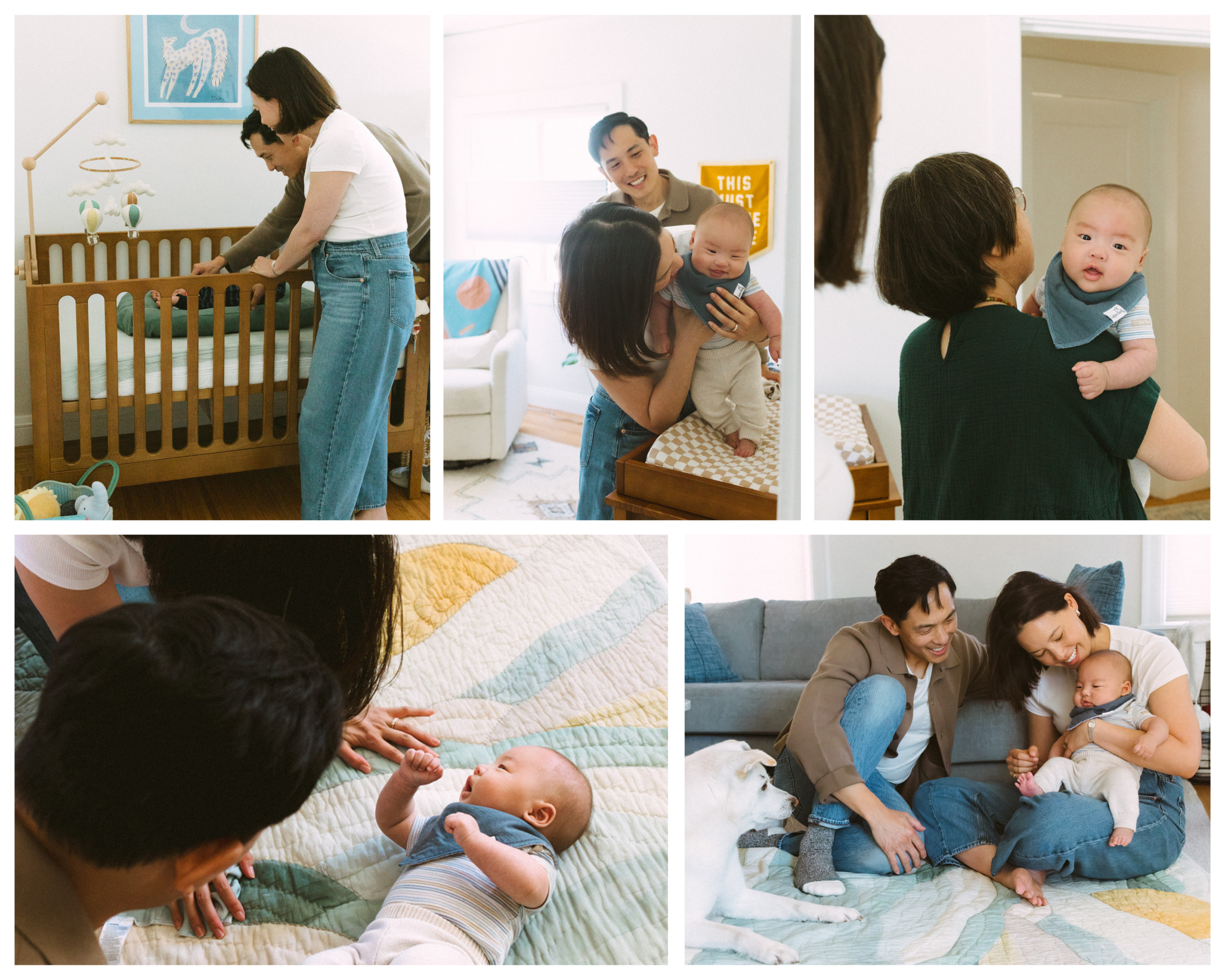 Collage from an at-home East Bay newborn session showing parents with their baby in the nursery and living room, the family dog nearby, a close-up newborn portrait, and baby resting in dappled window light.