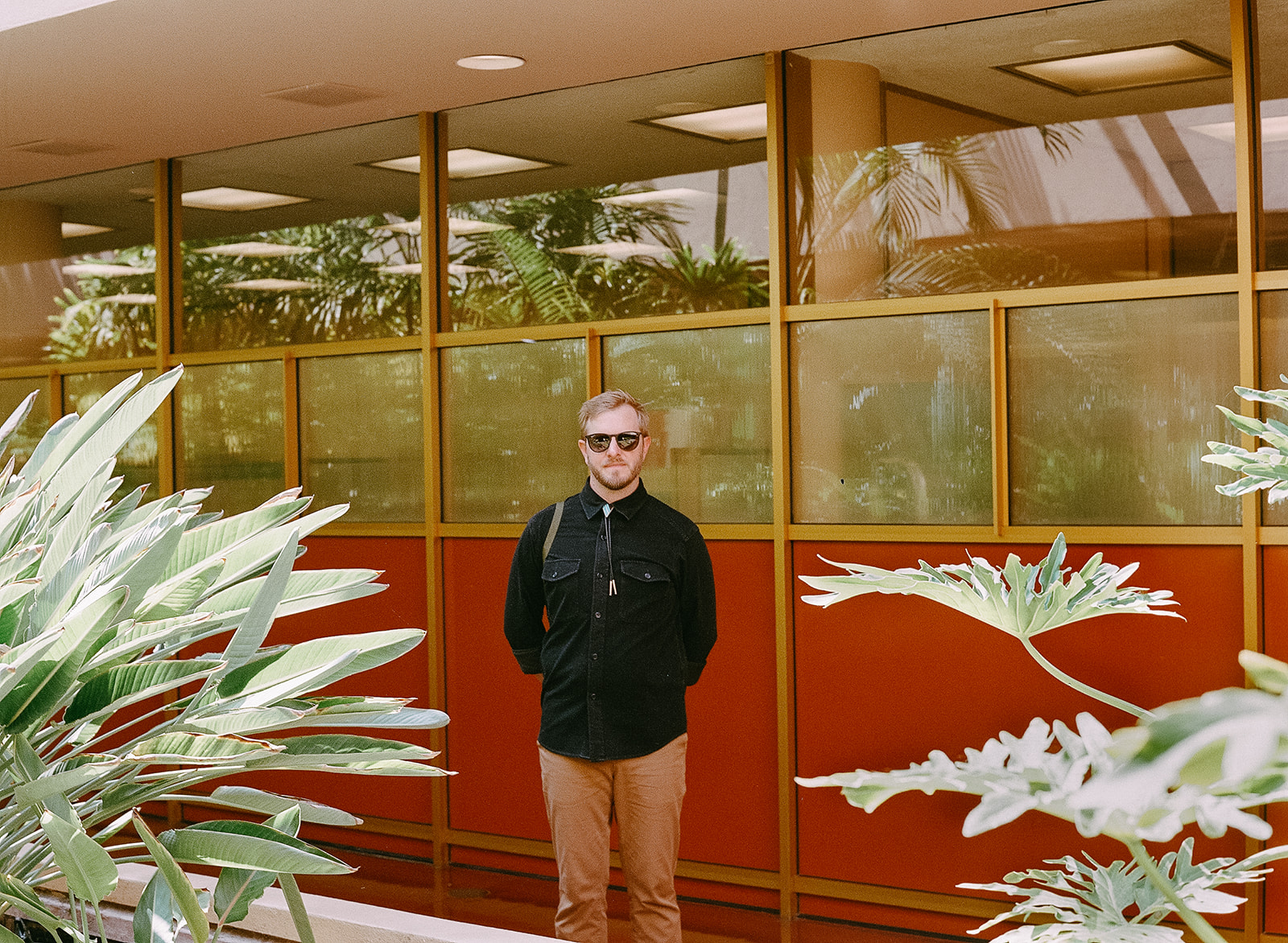 Film-inspired portrait of a man standing near greenery and colorful windows at Marin County Civic Center.