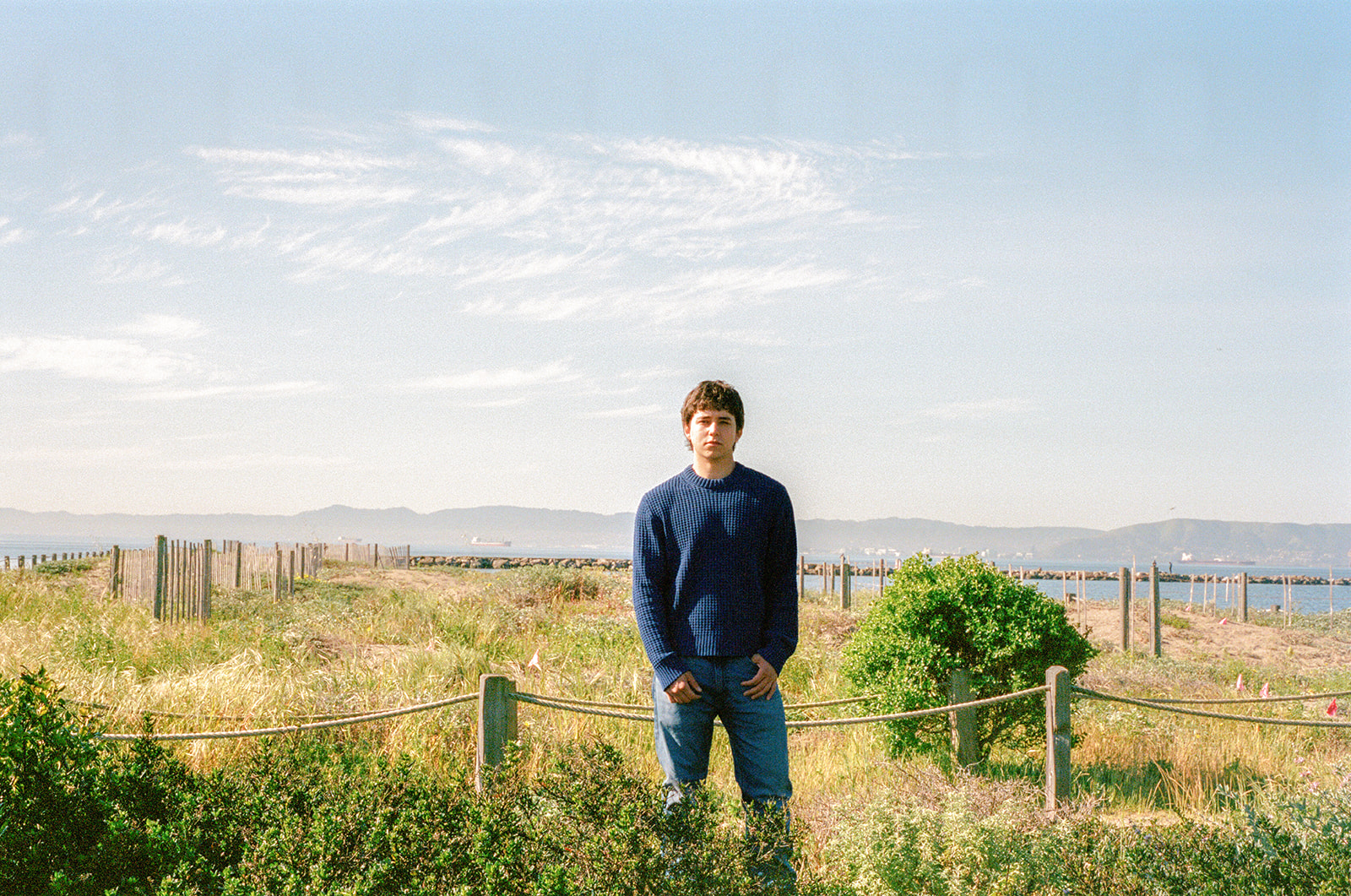 Film senior portrait in a blue sweater surrounded by coastal greenery near the Alameda waterfront.